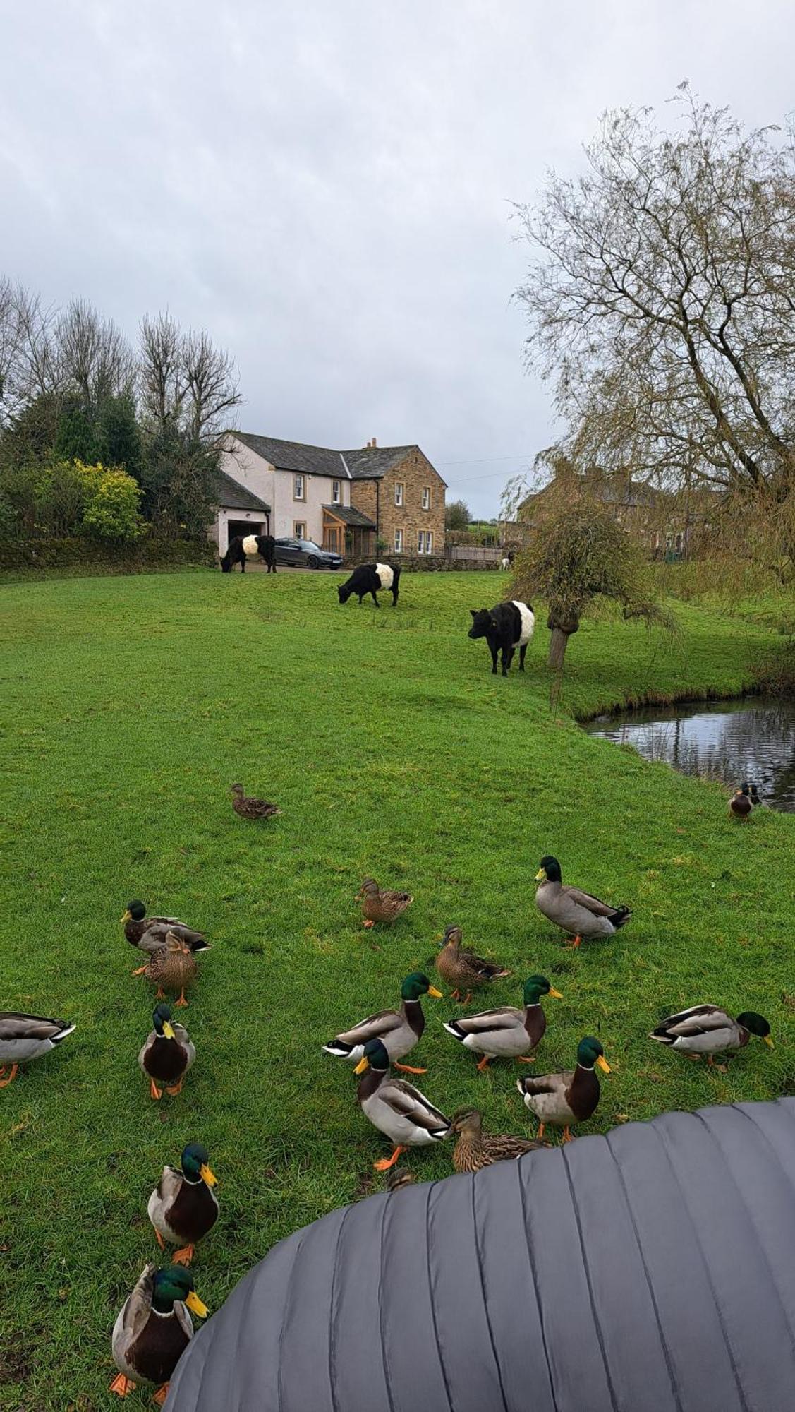 Church House Barn Lake District & Solway Coast With Solway Firth Views Silloth Exterior photo